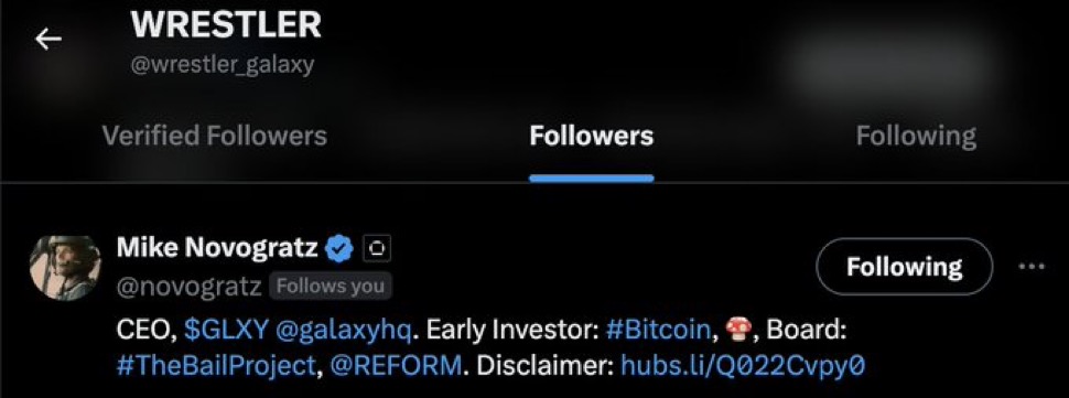 @wrestler_galaxy followers list showing Mike Novogratz (Follows you)
